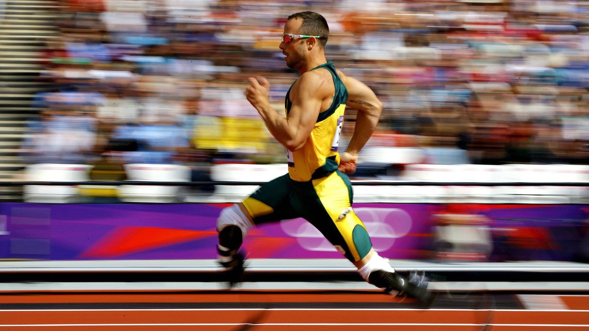 雄鹿字母哥夺冠视频